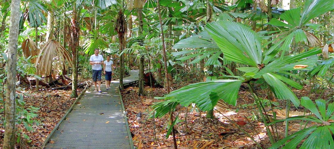 Dubuji Boardwalk