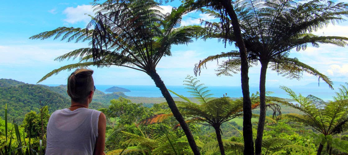 Mt Alexandra Lookout